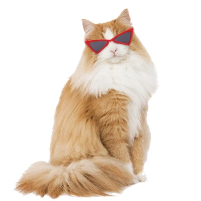Очки для домашних животных, солнцезащитные очки для кошек, собак, Тедди, индивидуальные забавные головные уборы, аксессуары для домашних животных